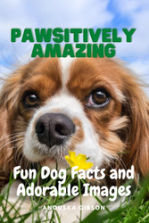 Pawsitively Amazing
