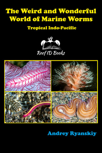 The Weird and Wonderful World of Marine Worms: Tropical Indo-Pacific