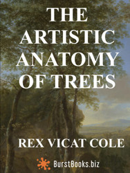 The artistic anatomy of trees