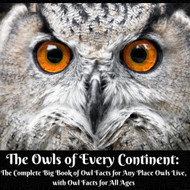 The Owls of Every Continent