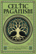 Celtic Paganism: A Journey into the World of the Mythology Folklore