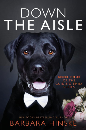 Down the Aisle: Book Four of the Guiding Emily Series
