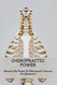 Chiropractic Power: Harness The Power Of Chiropractic Success For