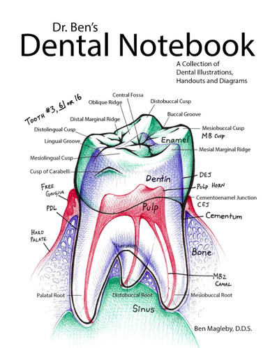 Dr. Ben's Dental Notebook: A Collection of Dental Illustrations