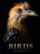 BIRDS: most exquisite birds from around the world. Each page is