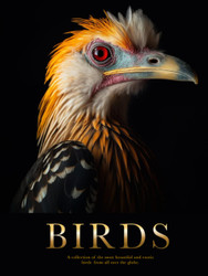 BIRDS: most exquisite birds from around the world. Each page is