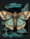 MOTHS COLORING BOOK: Adult Coloring Book