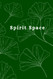 Spirit Space