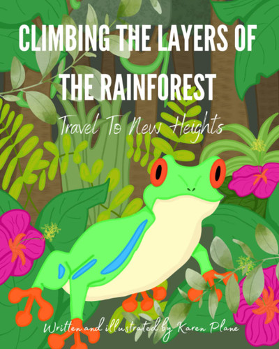 Climbing The Layers Of The Rainforest: Travel To New Heights