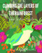 Climbing The Layers Of The Rainforest: Travel To New Heights