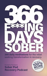 366 F***ing Days Sober: 366 daily meditations for the rebel seeking