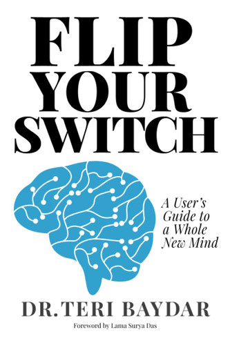 Flip Your Switch: A User's Guide to a Whole New Mind