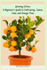 Growing Citrus: A Beginner's Guide to Cultivating Lemon Lime and