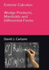 Exterior Calculus