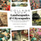 Collage Soup - Landscapades & Cityscapades