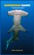 Hammerhead Sharks: An In-depth look into the biology of Hammerhead