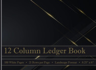 12 Column Ledger Book