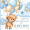 We can Bearly Wait Baby Boy Baby Shower Guest Book