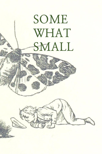 Somewhat Small