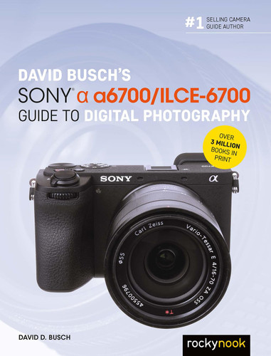 David Busch's Sony Alpha a6700/ILCE-6700 Guide to Digital Photography