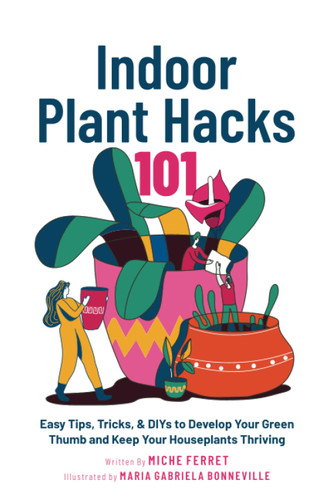 Indoor Plant Hacks 101: Easy Tips Tricks & DIYs To Develop Your Green