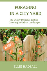 Foraging in a City Yard: 26 Wildly Delicious Edibles Growing In Urban