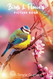 Picture Book of Flowers & Birds