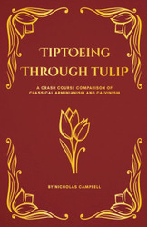 Tiptoeing Through TULIP: A Crash Course Comparison of Classical