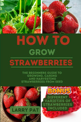 How to Grow Strawberry