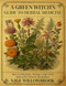 A Green Witch's Guide to Herbal Medicine