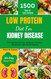 Low Protein Diet for Kidney Disease