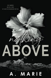 Nothing Above: A Dark Romance Standalone