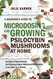 A Beginner's Guide To Microdosing and Growing Psilocybin Mushrooms At
