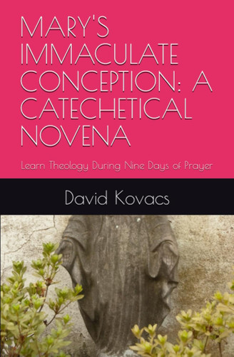 Mary'S Immaculate Conception: a Catechetical Novena: Learn Theology