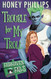 Trouble for My Troll: A Cozy Monster Romance (Fairhaven Falls)