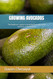 GROWING AVOCADOS: The beginner's guide to growing Avocados from