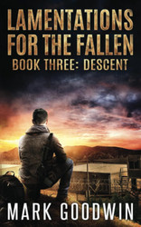 Descent: A post-apocalyptic tale of America's coming economic and