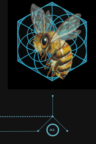 Mindful Expansion (Expansion Series)