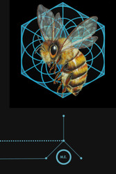 Mindful Expansion (Expansion Series)