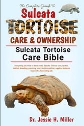 The Complete Guide to Sulcata Tortoise Care & Ownership