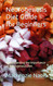 Neurogenesis Diet Guide for Beginners: Understanding the Importance