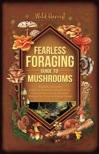 Fearless Foraging Guide to Mushrooms