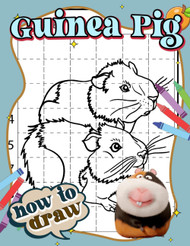 How To Draw Guinea Pig