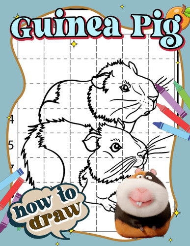 How To Draw Guinea Pig