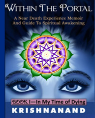 Within The Portal Book I: A Near-Death Experience Memoir and Guide to