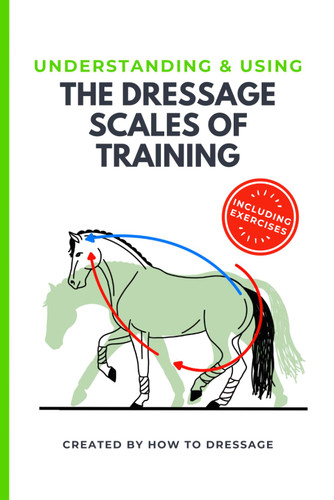 Understanding and Using The Dressage Scales of Training