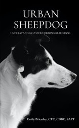 Urban Sheepdog