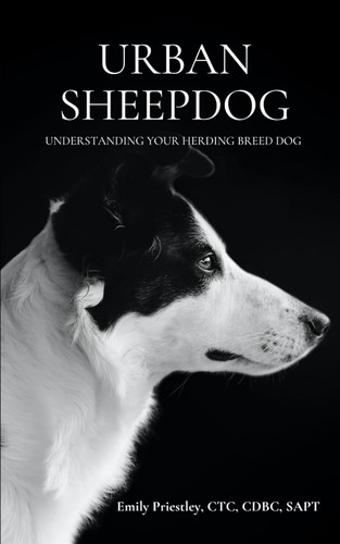 Urban Sheepdog