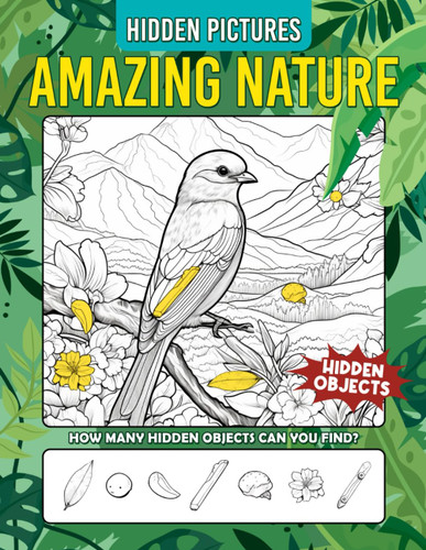 Amazing Nature Hidden Pictures Book