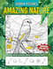 Amazing Nature Hidden Pictures Book
